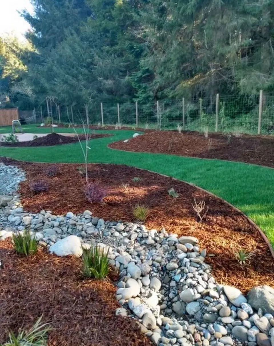 Curved new lawn bordered by mulch beds and a river-rock dry creek along a fenced backyard