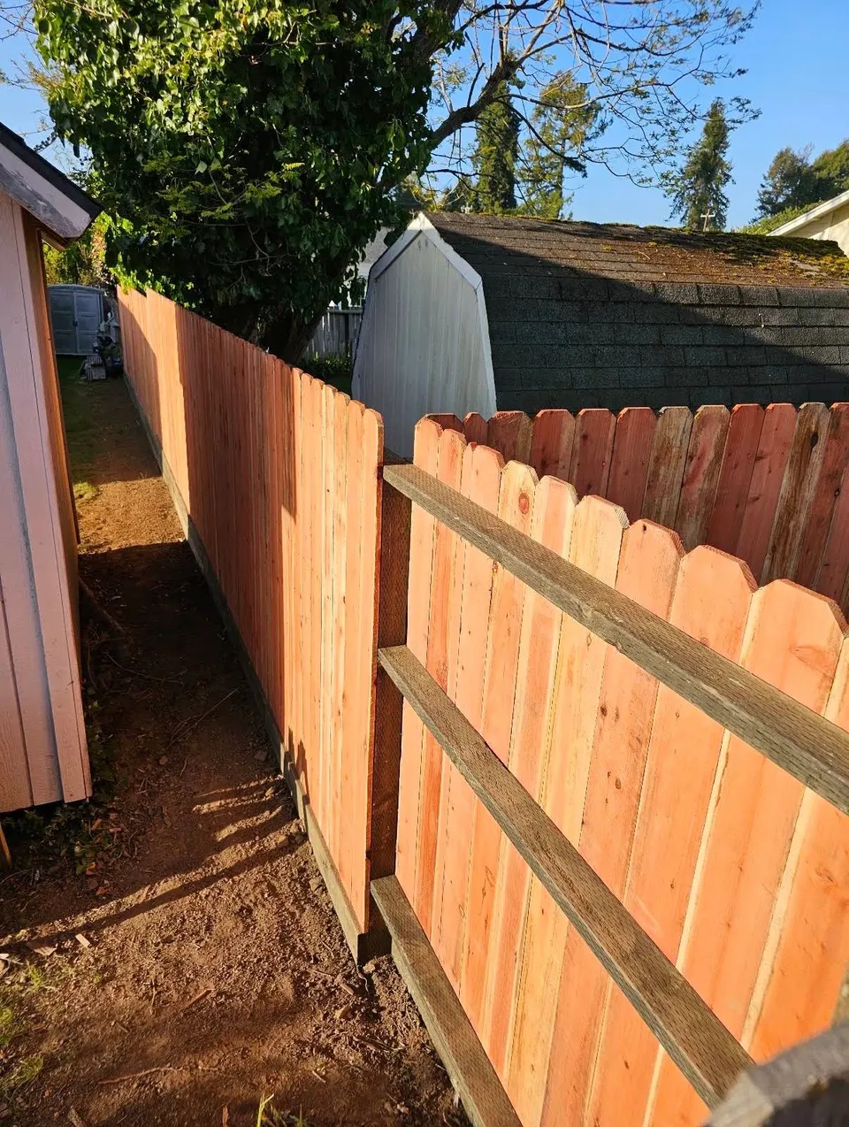 New dog-ear privacy fence built through a narrow side yard between sheds