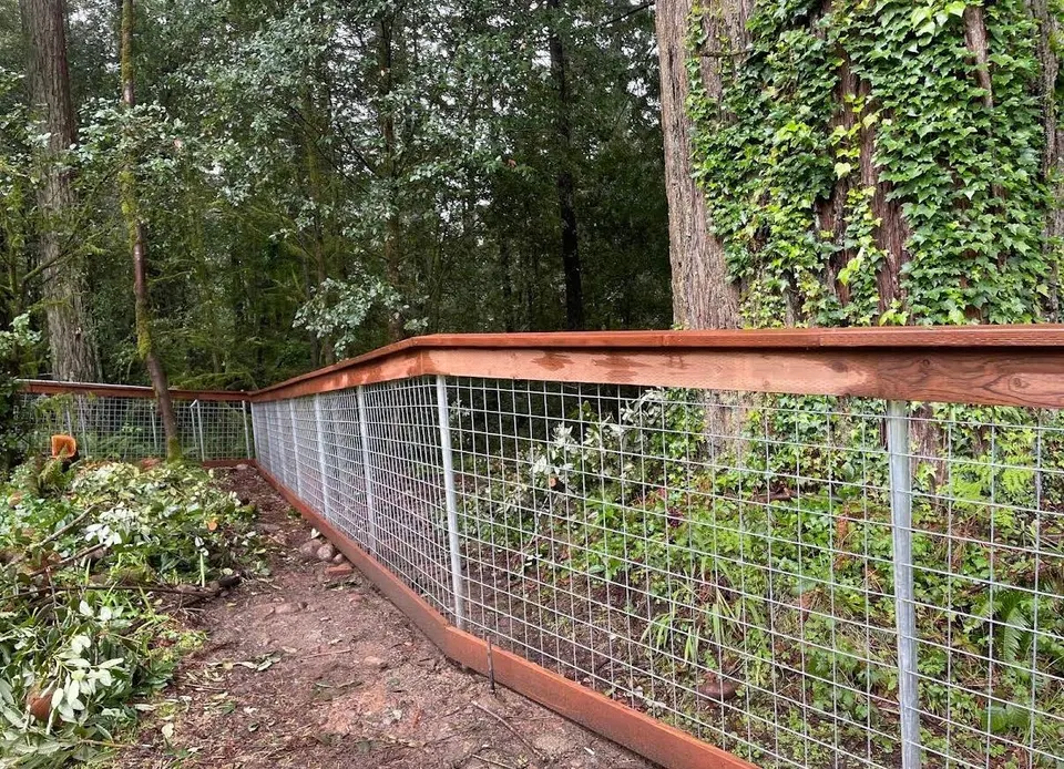 Hog-wire fence with a redwood cap rail running along a forested property line