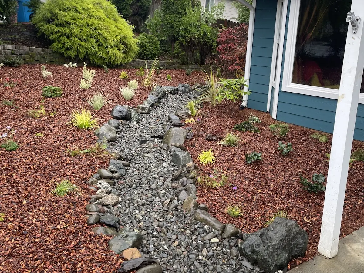 Dry-creek drainage channel through fresh mulch beds and new plantings