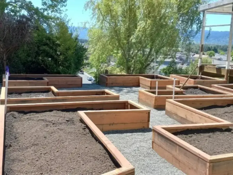 Rows of new redwood raised garden beds on a gravel pad overlooking the valley