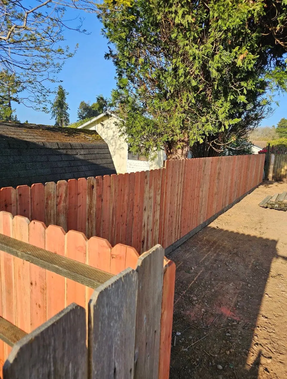 New redwood dog-ear privacy fence running the length of a side yard