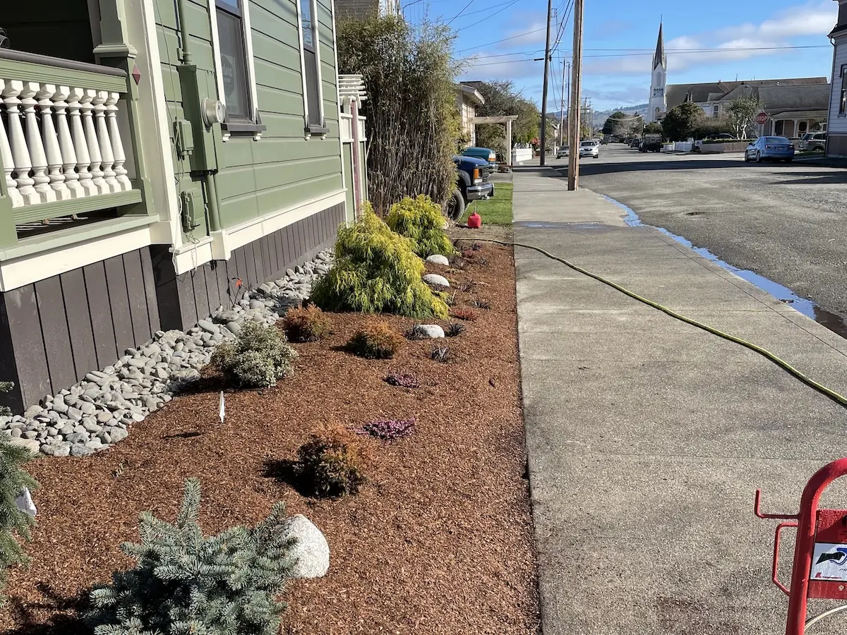 Fresh front-yard planting beds with river rock and mulch outside a Victorian home