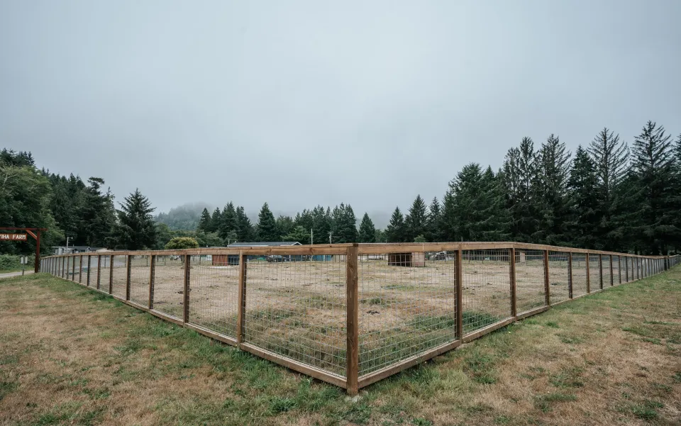 Hog wire field fence enclosing a pasture with a wood frame and corner bracing