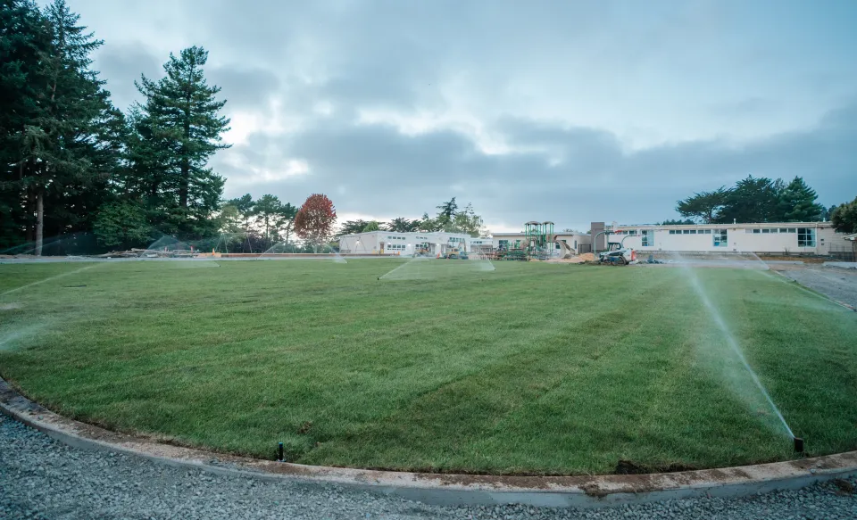 Irrigation sprinklers running across a newly installed sod field
