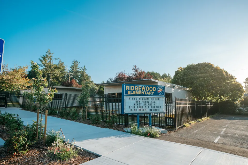 School entry with new walkway, young trees, and planted beds