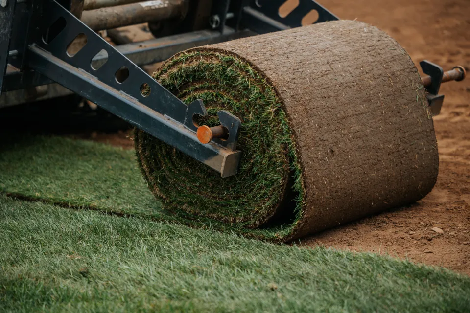 Sod roller unrolling a fresh strip of turf onto prepared soil