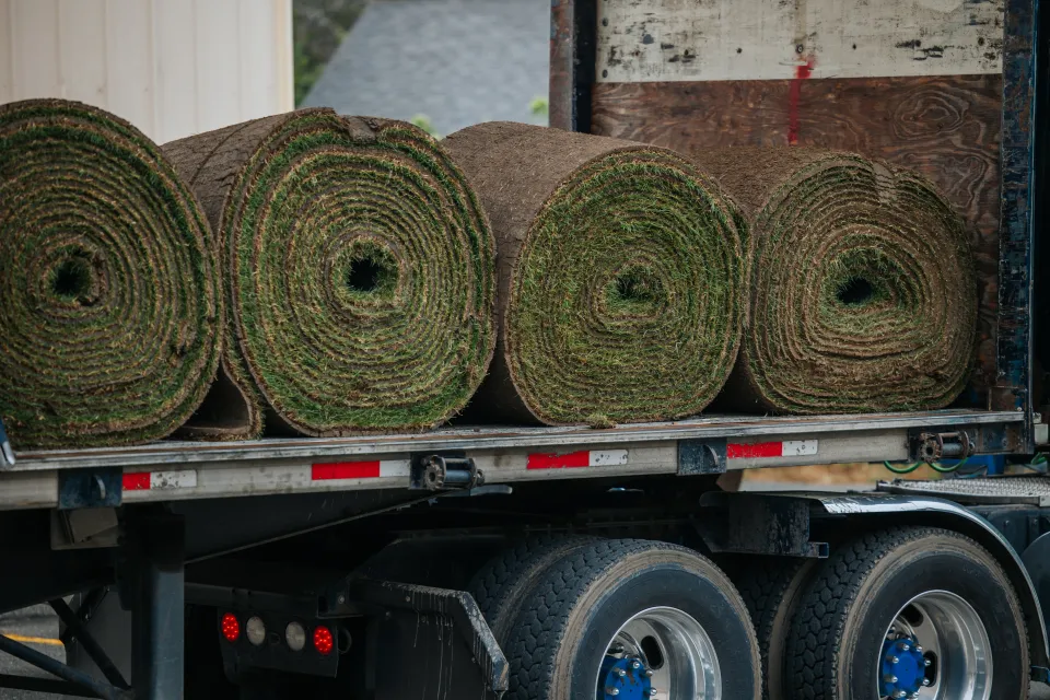 Rolls of fresh sod stacked on a flatbed trailer for a commercial lawn installation