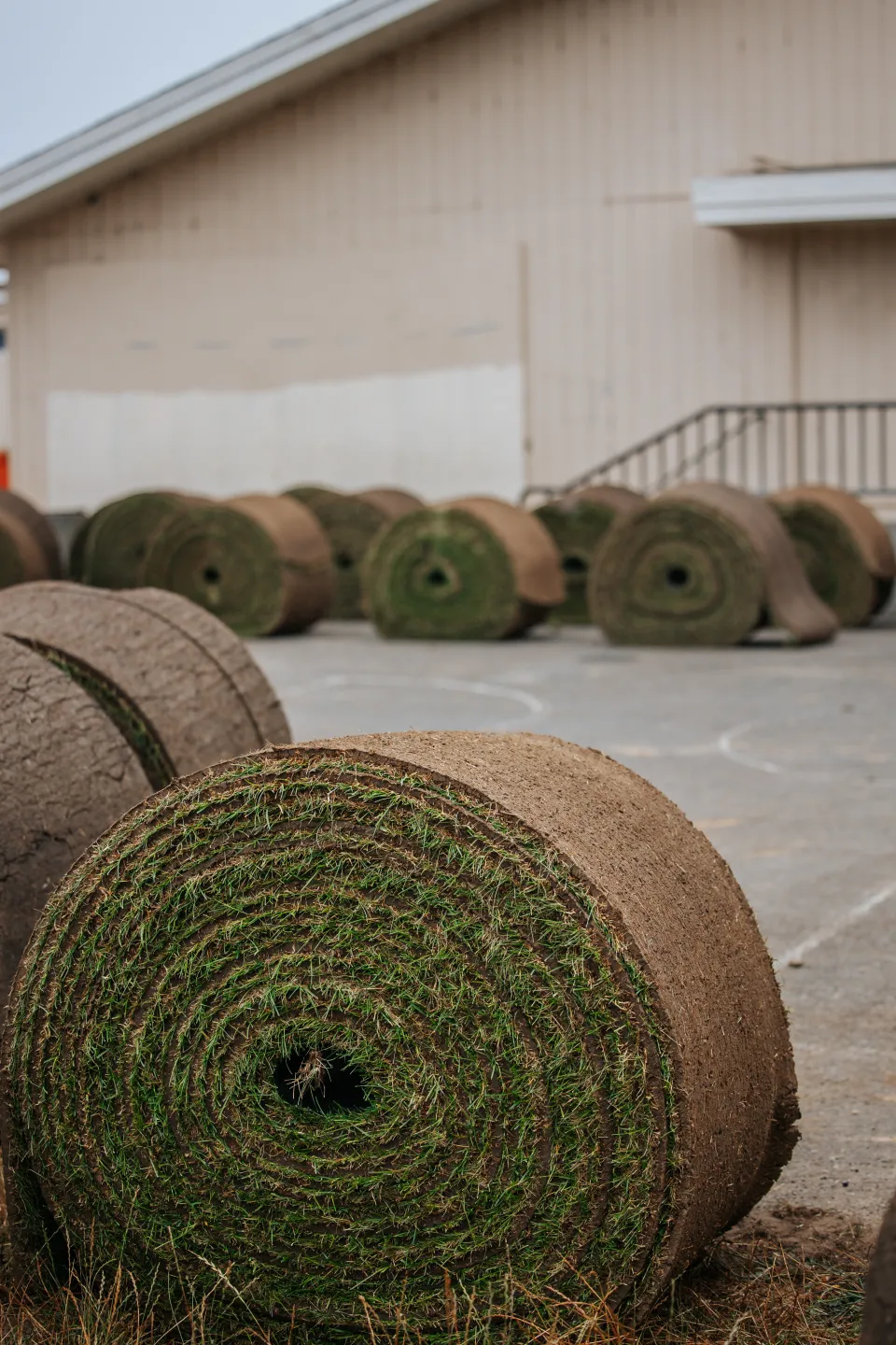 Rolls of sod staged on pavement before installation on a commercial jobsite