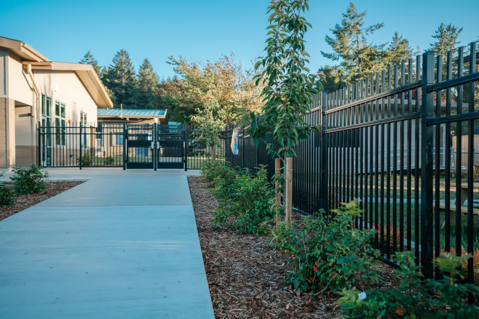 Steel fence beside a walkway with newly planted shrubs and trees