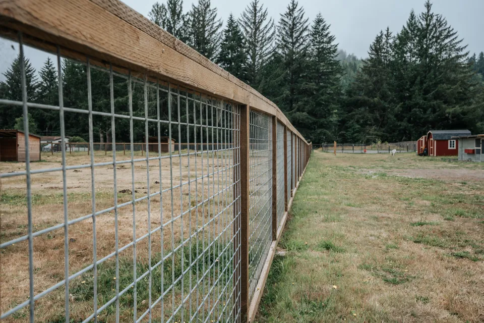 Long run of welded wire field fence on wood posts along a pasture edge