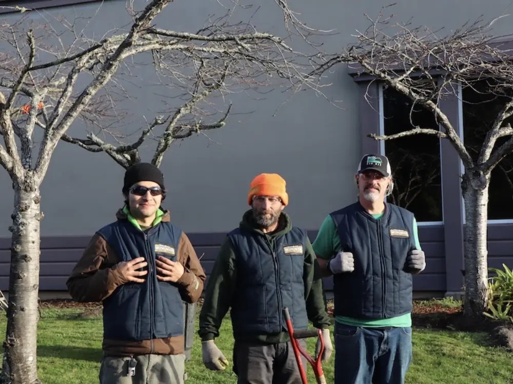 Deep Roots crew members standing between pruned trees on a commercial property