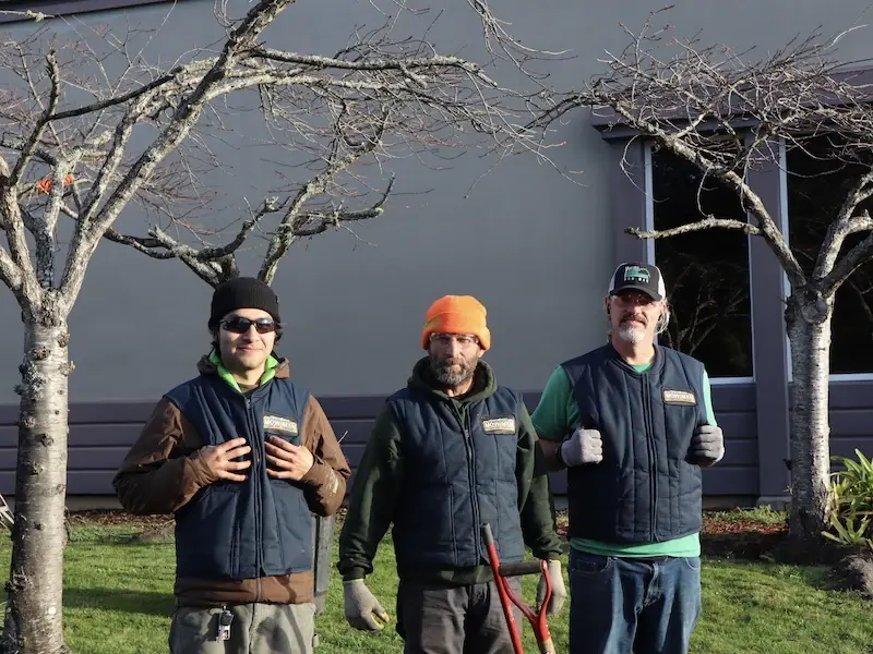 Three Deep Roots crew members in company vests on a winter jobsite in Eureka